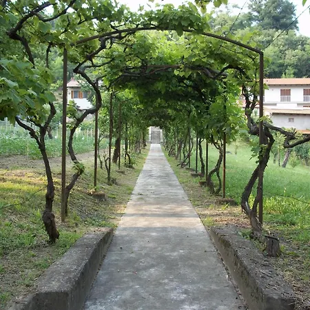 Il Tiglio Maison d'hôtes